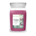SPARKLING WINTERBERRY